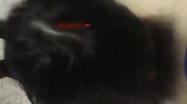 度娘盘最新泄漏眼镜学生情侣淫乱私生活外表看似素雅单纯妹骨子里这么淫荡能给自己玩的淫叫不止很会吃屌国语对白